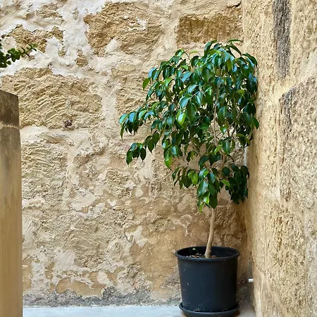 Traditional In The Heart Of Nyaraló Nadur