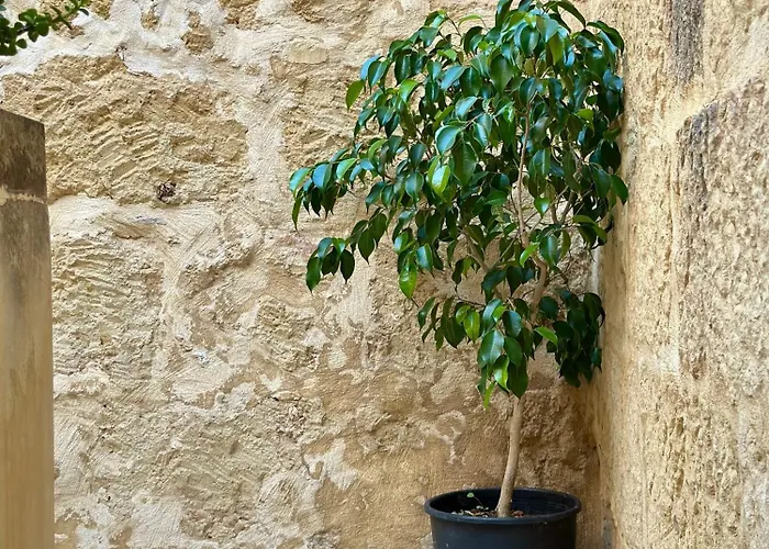 Traditional In The Heart Of Dom wakacyjny Nadur